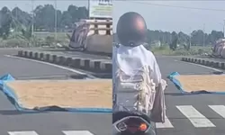Viral Jemur Padi di Lampu Merah Maros, Antara Urusan Perut dan Bahaya di Jalan Raya