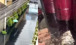 Banjir Oli Hitam Pekat di Cemani Sukoharjo, Limbah Meluap dari Penampungan Bawah Tanah