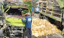 Sopir Mengantuk, Truk Ayam Pinrang-Pasangkayu Seruduk Rumah di Jalur Poros Majene-Mamuju