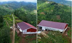 Viral Koperasi Terpencil di Lereng Gunung Prau, Ternyata Ini Strategi Kades Kediten