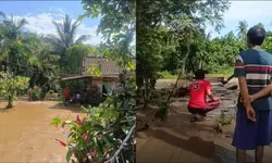 Banjir Terjang Bolano Lambunu, Jembatan Putus dan Puluhan Rumah Terendam 