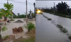 Tanggul Tapeau Jebol, Banjir Rendam Rumah dan Sawah di Balinggi Jati Parigi Moutong