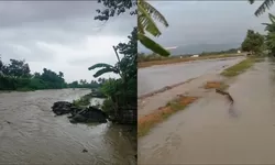 Hujan Lebat di Parigi Moutong, Banjir Rendam 8 Hektare Sawah Toribulu dan Sienjo