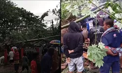 Pohon Tumbang di Taman Tadulako Tinombo Timpa Anak Anak Satu Korban Dikabarkan Meninggal Dunia