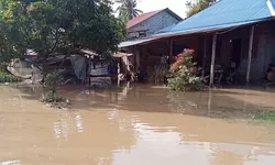 Banjir Rendam Rumah dan Tambak di Lebagu Balinggi Parigi Moutong