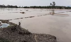 Banjir Rendam 5 Kecamatan di Parigi Moutong, Infrastruktur dan Ratusan Hektare Lahan Rusak