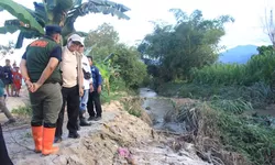 Dampak Banjir Parigi Moutong Ratusan Hektar Sawah Produktif Terendam dan Akses Antardesa Putus