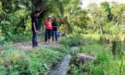 Irigasi Rusak Parah, 500 Hektare Sawah di Aceh Terancam