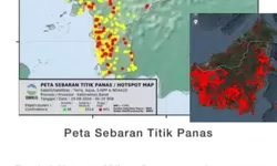 Kebakaran Lahan Kalimantan Sentuh 32 Ribu Hektare, Kalbar Terparah