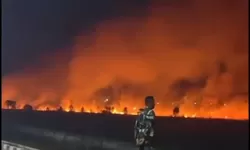 Kebakaran Lahan 20 Hektar di Desa Kujan Lamandau Merambat ke Kebun Warga
