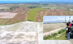 Kekeringan Parah Landa Parigi Moutong, 1400 Hektare Lahan Terancam Gagal Panen