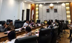 Kasus Tambang Liar WPR Kayuboko Seret Pemodal Asing, DPRD Sulteng Minta Gakkum Turun