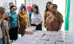 Ketua PKK sekaligus Ketua Dekranasda Kota Pematangsiantar mengunjungi  UMKM serta IKM.
