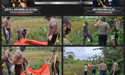 Polres Banyuasin Selidiki Penemuan Mayat Tak Dikenal di Desa Merah Mata