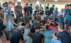 Dugaan Pembiaran Judi di Deli Serdang, Publik Desak Evaluasi Aparat