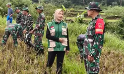 Babinsa Kodim 0728/Wonogiri Asah Kemampuan Pertanian, Siap Kawal Ketahanan Pangan Nasional