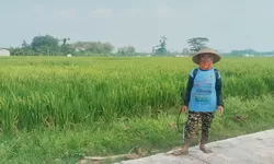 TMMD Reg ke-128 Kodim 0725/Sragen bawa berjuta berkah buat Petani