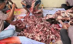 Kapolres Langkat Pimpin Penyembelihan Hewan Qurban, Wujud Kepedulian Polri kepada Masyarakat