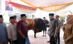 Sapi Kurban Presiden Tiba di OKU Timur, Wujud Perhatian Pemerintah Pusat kepada Daerah