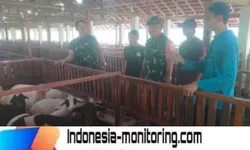 Curhat di Kandang Kambing, Cara Unik Babinsa Gemolong Cegah Penyakit Ternak