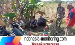 Cerita dari Pematang Sawah : Babinsa Hadir, Petani Padi Semakin Optimis