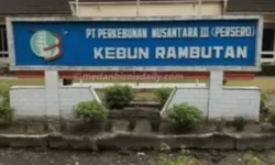 Publikasi Media Dihentikan, LSM PAKAR Soroti Transparansi PTPN III Kebun Rambutan