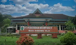 Produksi Tumbuh Dua Digit, Kebun Bah Birung Ulu Perkuat Transformasi dan Pemberdayaan Masyarakat