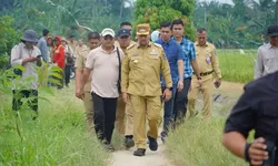 Dorong Penerapan Pertanian Modern, Bupati Batu Bara Tinjau Persawahan PM-AAS di Desa Suka Raja