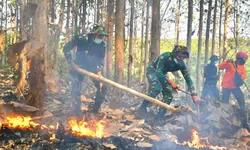 Masuki musim Kemarau, Kodim Wonogiri Gelar Latihan Penanggulangan Bencana Alam Kebakaran Hutan Lahan