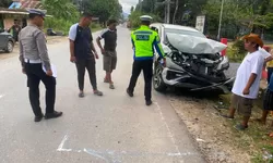 Kecelakaan Beruntun di Jalan Sibolga-Barus, 17 Orang Mengalami Luka-Luka