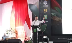 Wamendagri Bima Arya Dorong Penghijauan Jadi Gerakan Berkelanjutan di Daerah
