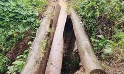 Puluhan Tahun Menanti, Warga Botolala Tagih Jalan Layak