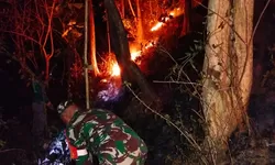 Aksi Sigap Babinsa Dan Warga Padamkan Kebakaran Hutan Jati Di Pagerwojo Blitar