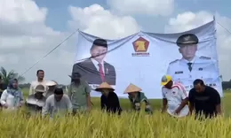 Panen Raya di Natar Jadi Momentum