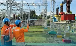 Jember hingga Banyuwangi Dilanda Pemadaman Bergilir, Ramai Warganet Keluhkan Mati Lampu dalam 2 Hari Terakhir, Begini Penjelasan PLN