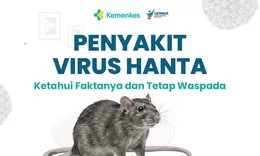 Kasus Virus Hanta di Indonesia Meningkat, Kemenkes Minta Masyarakat Waspada