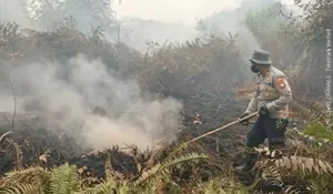 Polri tetapkan 113 tersangka karhutla, pelaku didominasi perorangan