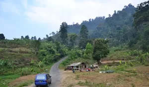 Polisi Tidak Rekomendasikan Jalur Puncak II untuk Mudik 2025, Cek Jalur Alternatifnya di Sini!