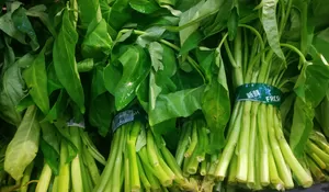 Paten Banget! 3 Jenis Sayuran Murah Meriah Ini Auto Turunkan Kolesterol, Yuk Cobain di Rumah