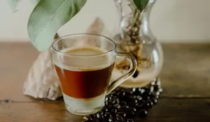 Deretan Kafe di Bogor yang Sajikan Kopi Sanger, Cocok buat Kamu Yang Cari Suasana Tenang