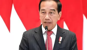 Jokowi Ternyata Sempat Ditegur Uni Eropa Soal Kelapa Sawit: Ini soal perang bisnis antarnegara