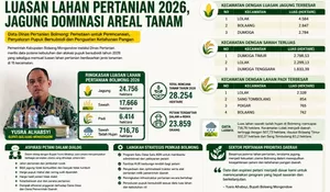 ​Serap Aspirasi Petani, Pemkab Bolmong Petakan Potensi Pertanian 2026: Jagung Masih Mendominasi
