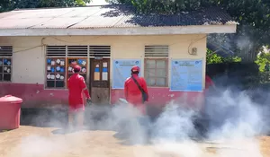 Sarang Lebah Teror SD Inpres Patokaan, Personel Damkar Minut Turun Tangan