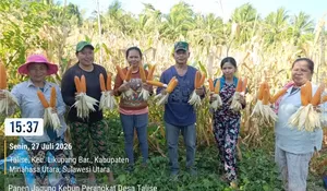 Bukan Cuma Hasil Laut! Desa Talise Buktikan Wilayah Kepulauan Bisa Jadi Lumbung Pangan dan Penekan Inflasi