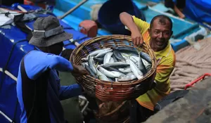 Cuaca ekstrem, harga ikan naik di Banda Aceh