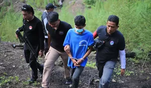 Penangkapan tersangka pemilik tanaman ganja