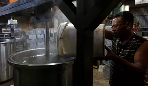 Produksi Cincau kebutuhan Ramadhan