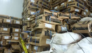 Jelang Lebaran, Polri Ungkap 12,9 ton Peredaran Daging Domba Impor Kedaluwarsa 