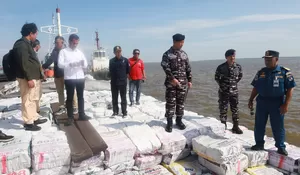TNI AL Gagalkan Penyelundupan 200 Ton Arang Bakau di kepulauan Meranti