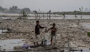 Empat Bulan Pascabencana, Revitalisasi Tambak Menunggu Realisasi